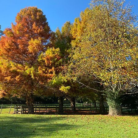 Willows Reach Lodge Kumeu 외부 사진
