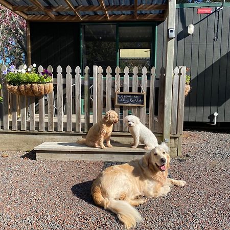 Willows Reach Lodge Kumeu 외부 사진