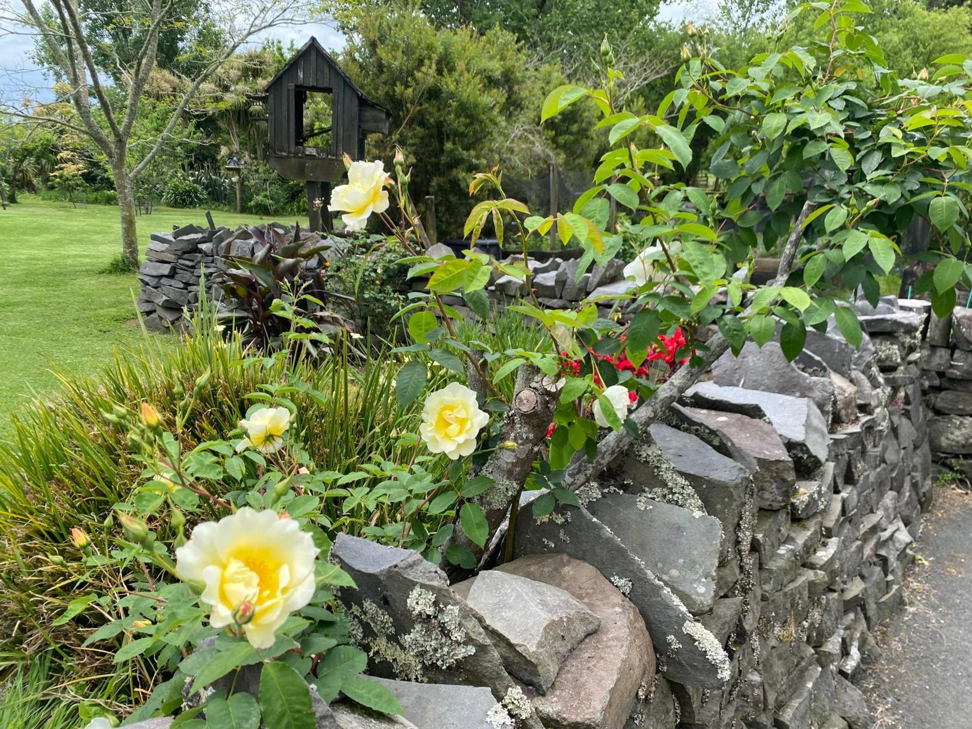 Willows Reach Lodge Kumeu 외부 사진
