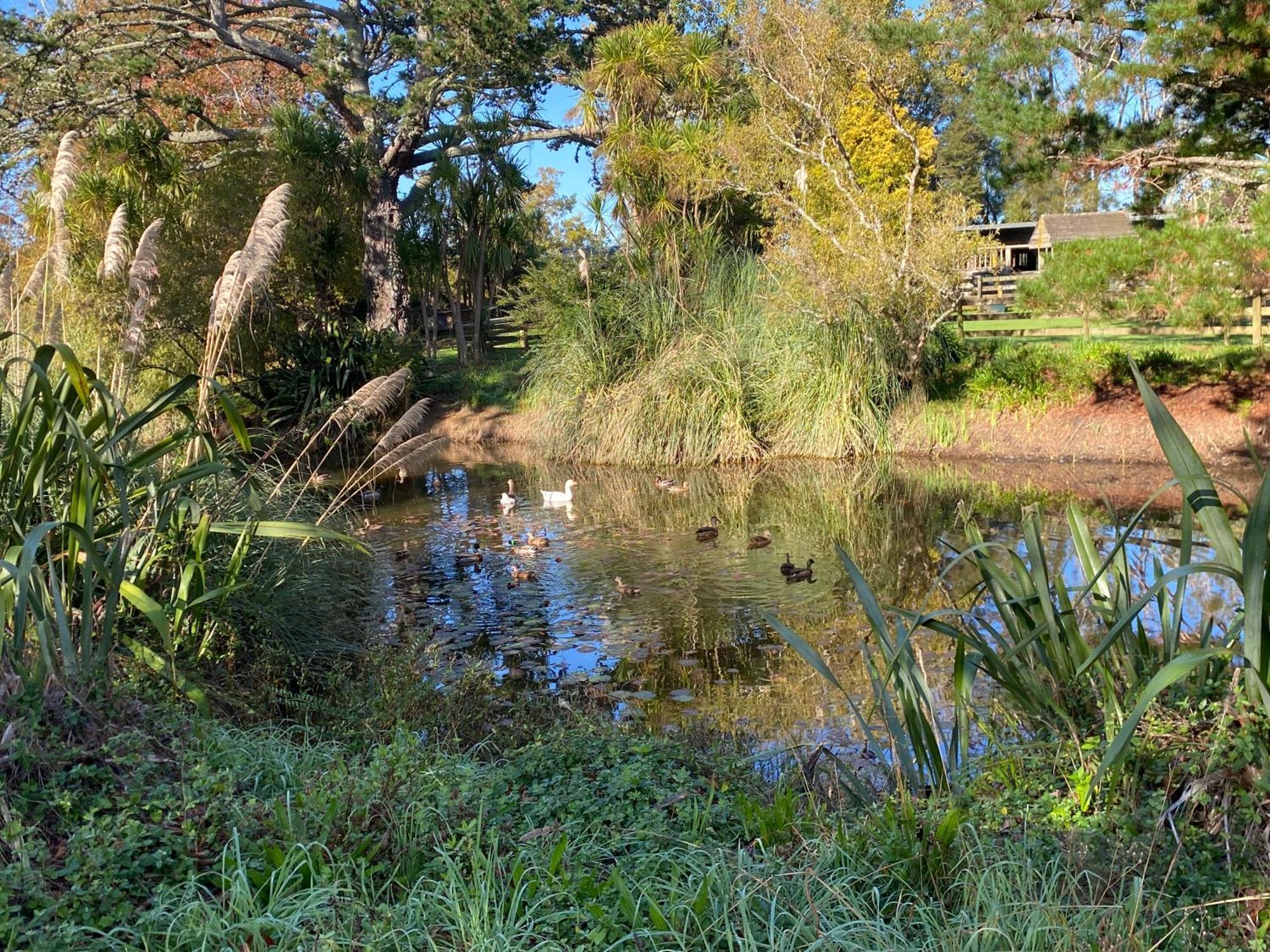 Willows Reach Lodge Kumeu 외부 사진